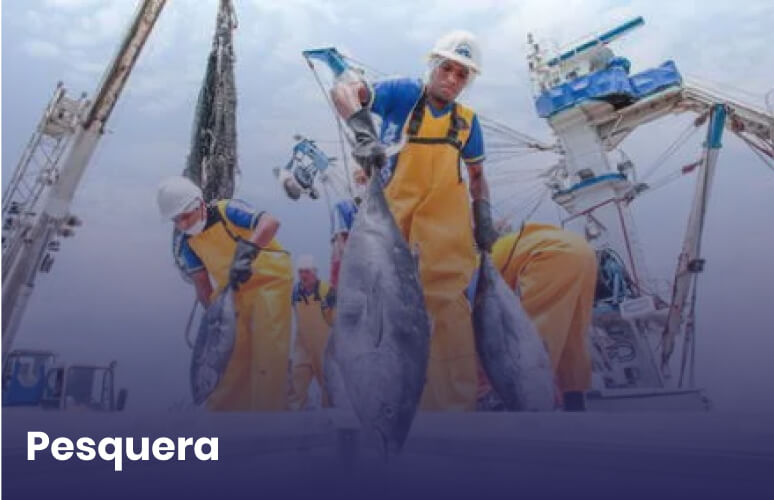 pesquera-GT