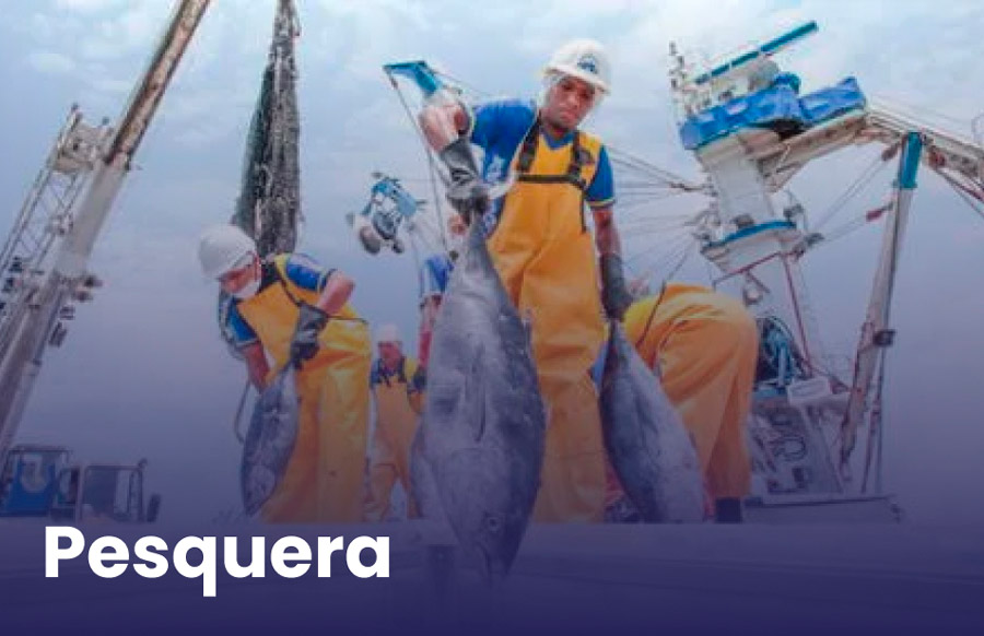 pesquera